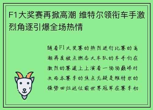 F1大奖赛再掀高潮 维特尔领衔车手激烈角逐引爆全场热情