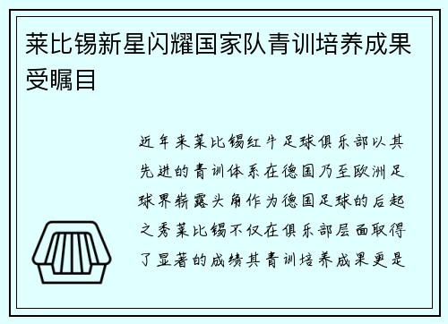 莱比锡新星闪耀国家队青训培养成果受瞩目